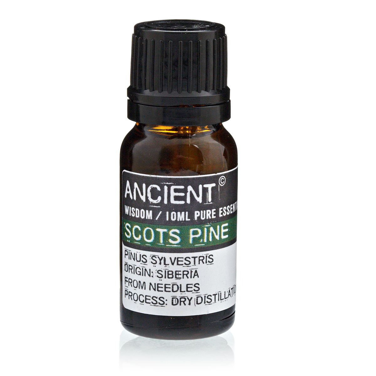 10 ml Pine Sylvestris (Scots Pine) Pure Essential Oil
