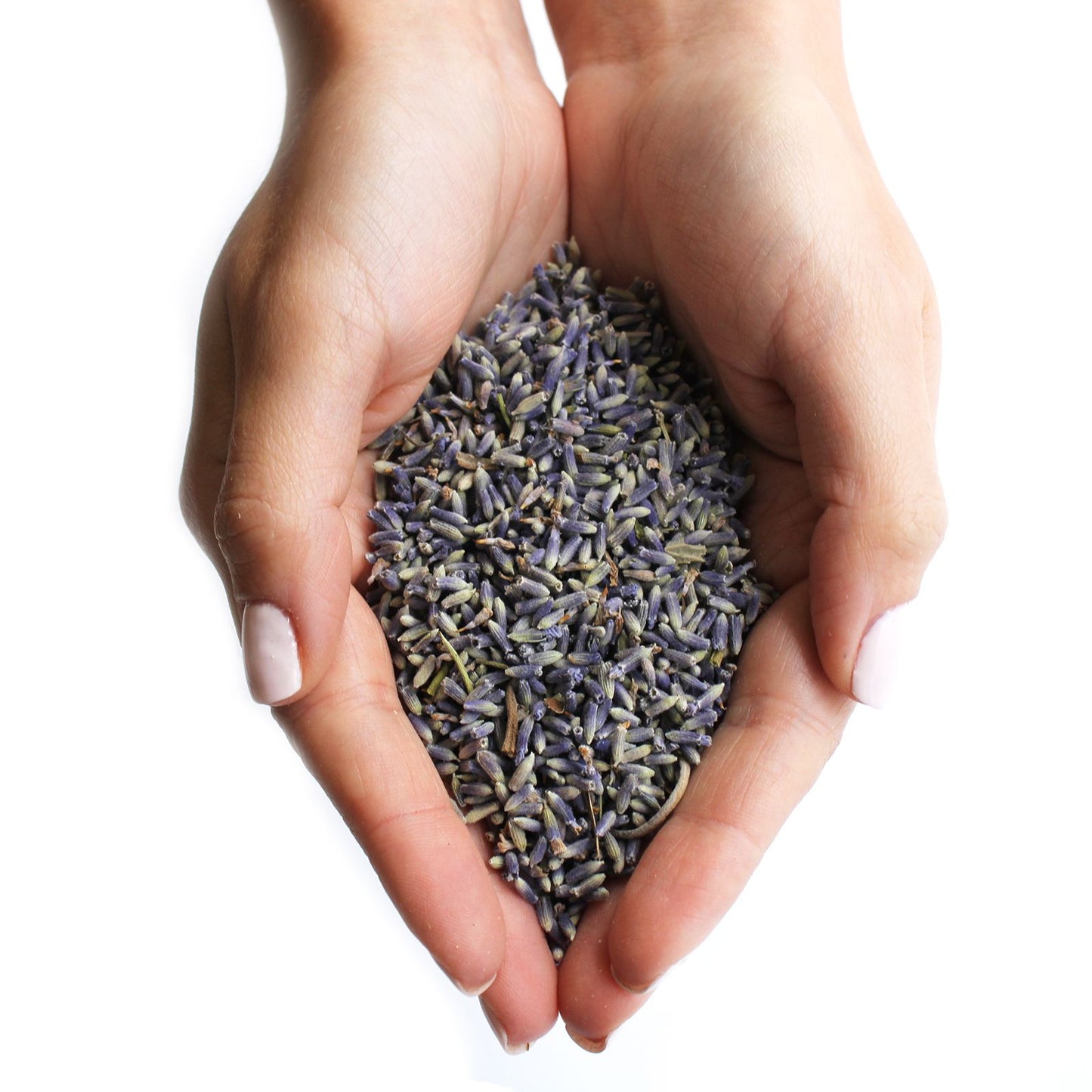 Lavender Flowers 1000 grams