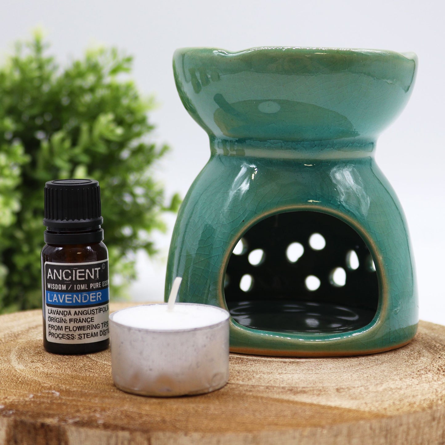 Blue Green Tree of Life Oil Burner