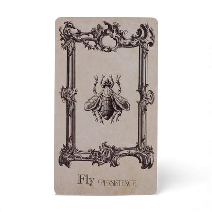 The Spellbook Oracle Cards- Witchcraft Deck