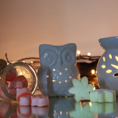 Tall Owl Classic White Oil Burner