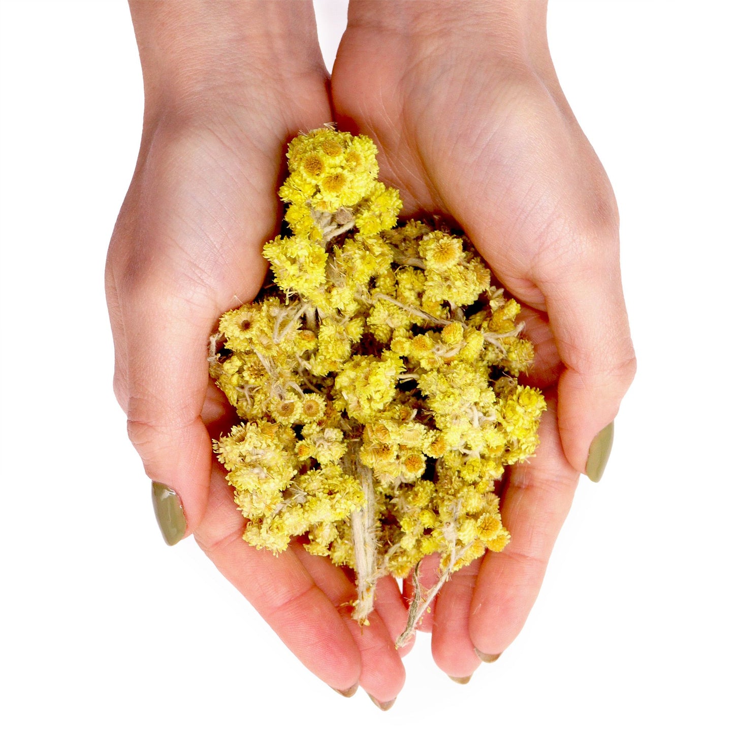 Everlasting Flowers 500 grams
