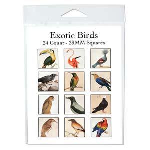 Exotic Birds Collage Sheet 23mm Squares